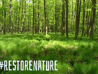 La loi sur la restauration de la nature de l’UE est-elle sur la corde raide ?