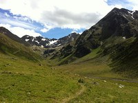 Le lagopède alpin peut continuer de couver