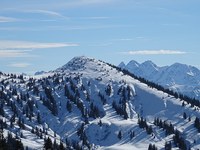 Le Plan alpin bavarois est en danger