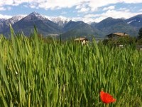 Les Alpes italiennes entre ombre et lumière