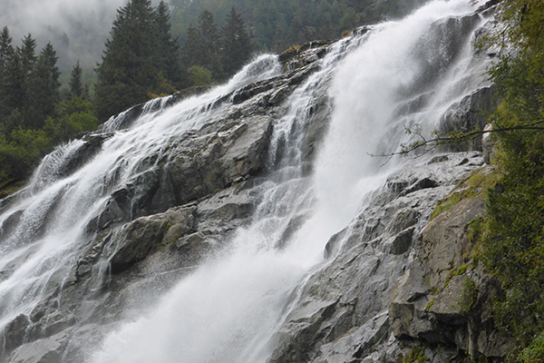 Les services rendus par la nature