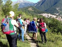 Mettre en réseau les massifs de montagne
