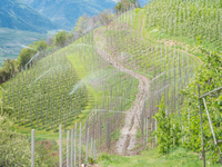 Pesticides en montagne