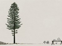 Un arbre a sept vies