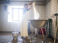 Verdir l’économie