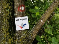 Mobilités douces et randonnées autour de la Via Alpina