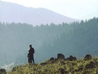 Fondements d'une politique durable dans les régions de montagne (Bausteine für eine nachhaltige Berggebietspolitik in Deutschland)