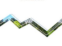 L'Economie forestière face au changement climatique