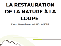 La restauration de la nature à la loupe - Exploration du Règlement (UE) 2024/1991