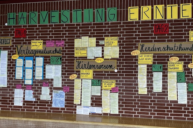 Hirtentreffen (2).jpeg