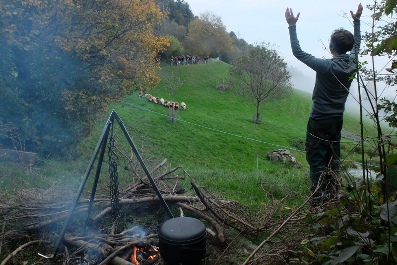 Via Alpina Youth CH.JPG