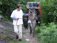 Ohranjanje tradicionalnih kulturnih rastlin in domačih živali