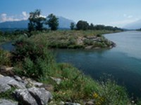 Poziv k uresničevanju zasnove za prihodnji razvoj Alpskega Rena