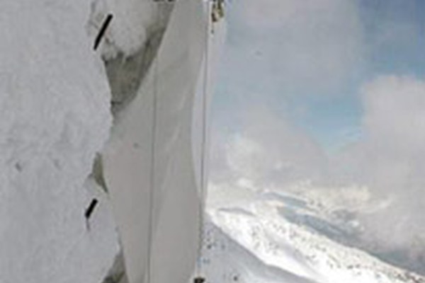 Ledeniki kot sredstvo oglaševanja?