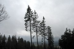 Vreme in podnebje v Alpah