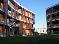 Negativna bilanca CO2 na območju Alp