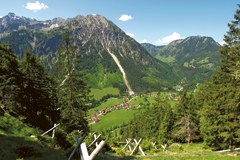 Alpe – vzorčna regija za varstvo podnebja?