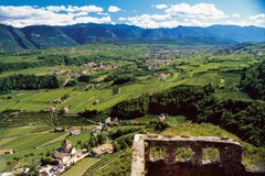 Letna konferenca Omrežja obč in in zaključ na prireditev projekta DYNALP2