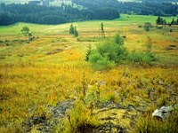 Allgäuska zveza za ohranjanje mokrišč zmagala na državnem natečaju velikih naravovarstvenih projektov