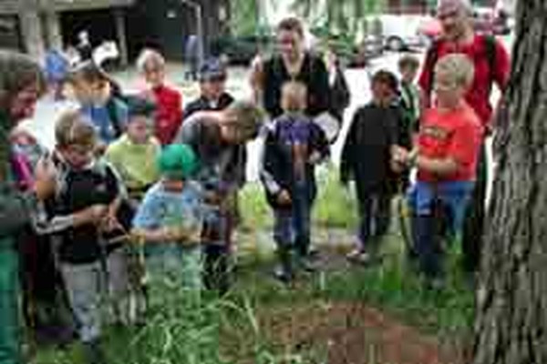 Najboljših pet - nova brošura s predlogi izletov po članicah DS alpskih dežel