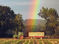 Novo iz fundacije SAVE