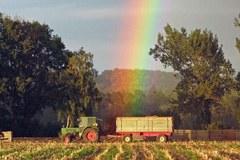 Novo iz fundacije SAVE