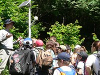 Občine lahko podnebne spremembe opazujejo v okviru programa Phenoclim