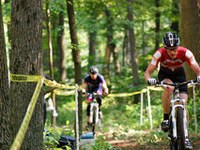 Alpska mesta kolesarijo skupaj