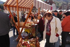Letno poročilo 2011: "Tako bomo nadaljevali tudi v prihodnje!"
