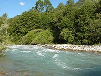 Rambach: vodna energija ali biosfera?