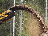 Dvanajst novih projektov iz programa Območje Alp