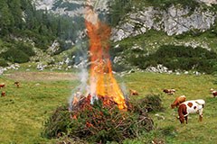 Trženje, sečnja, drobnice - vse za varstvo planin