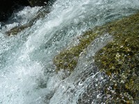 Da bo dovolj vode za vse