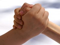 2014 - leto alpskih mest leta