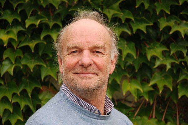 Čebele vedno korak pred nami