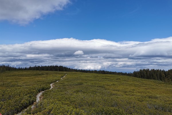 [Dogodek] Koliko več je preveč?