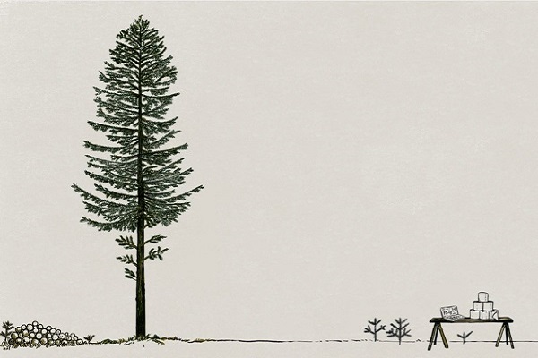 Drevo ima sedem življenj