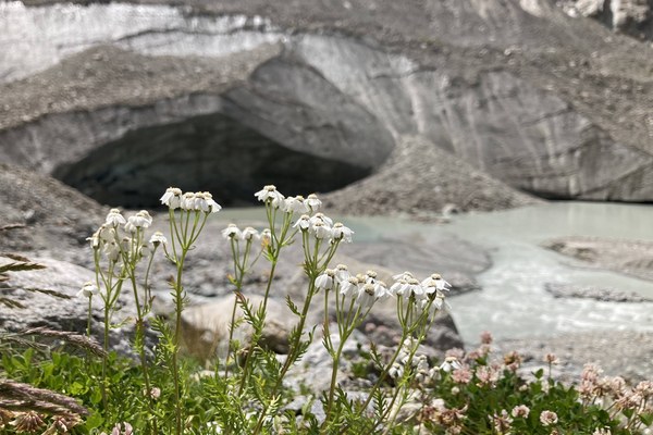 Glasovi in mnenja vzdolž pohodniške poti Via Alpina