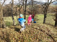Gozdni vrtec, kjer otroci uživajo v naravi