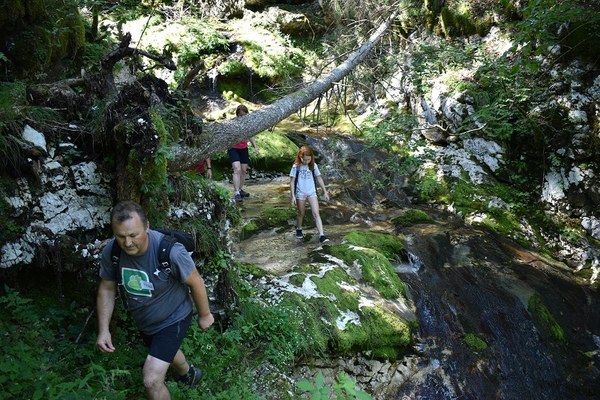 Izkoristiti vrline posameznikov in prednosti Alp