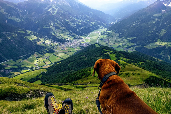 Kaj nam pripoveduje pokrajina