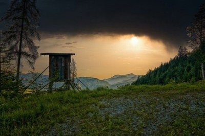 Kritika zaradi nove lovske zakonodaje