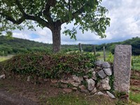 Kup kamenja ali dragocena dediščina? Anketa o suhozidni gradnji