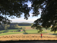 Majhni ognji, veliki izzivi