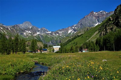 Male pobude, a velik učinek