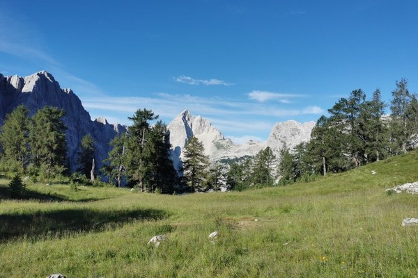 Nadaljevali smo s štetjem planincev na prelazu Vršič
