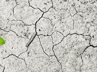 [Napoved] Mednarodni raziskovalni študentski tabor - Mikrofon podnebju: znanje in kompetence za komuniciranje podnebnih sprememb