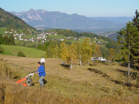 Naravna raznovrstnost kot skupno dobro