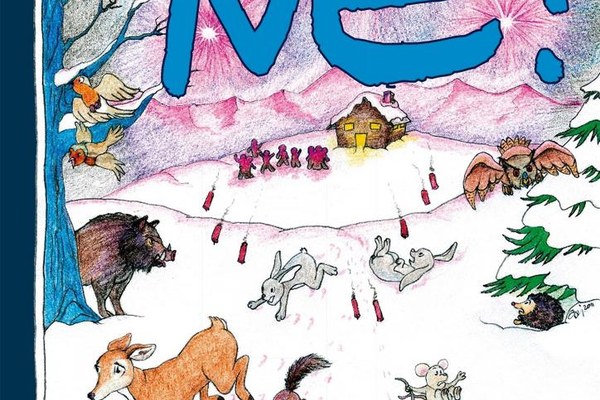 Pirotehnika v Triglavskem narodnem parku - NE!