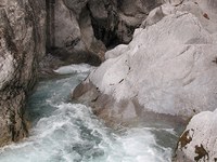 Pravi zaklad alpskega sveta